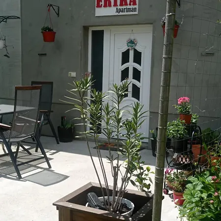 Erika * Szentgyorgyvolgy